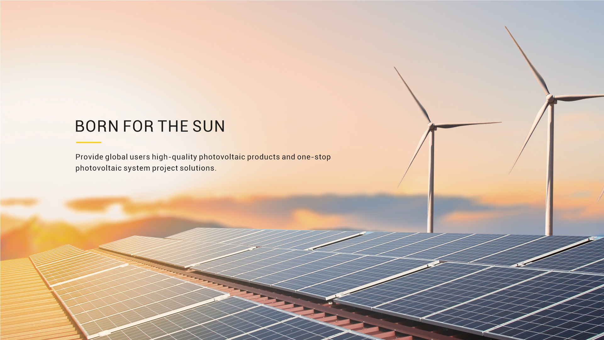 SOLARBORN TECHNOLOGY CO. LTD